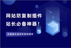 子比内容防复制插件，功能很丰富！ - 87副业网-87副业网