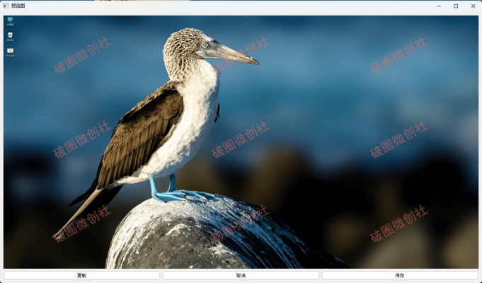 20241016231918581-d3c59cdf6e60c4793f87b920ddeff35