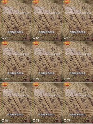 20241113151513235-IMG_20241113_151456