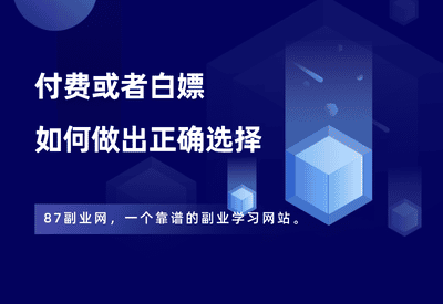 付费与白嫖：如何找到最适合你的选择？ - 87副业网-87副业网