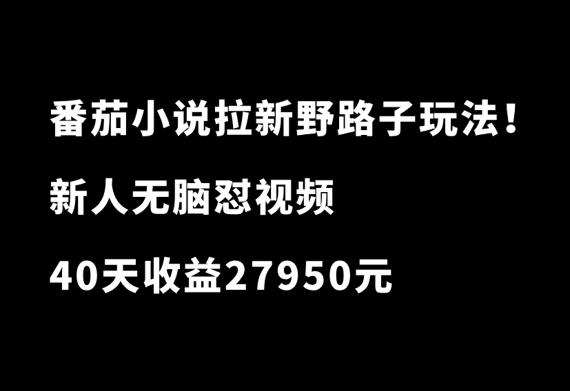 番茄小说拉新野路子玩法!无脑怼视频,每单10元,40天收益27950-87副业网